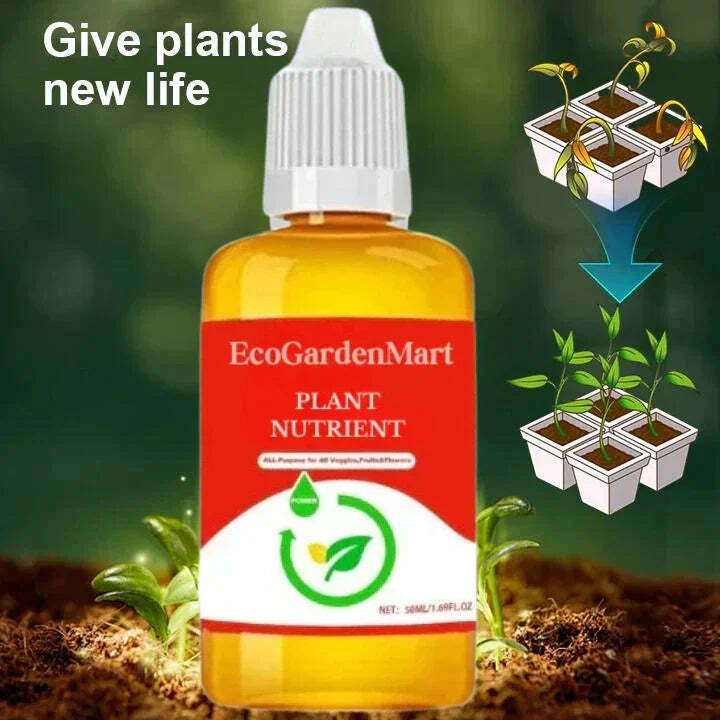 50 ml